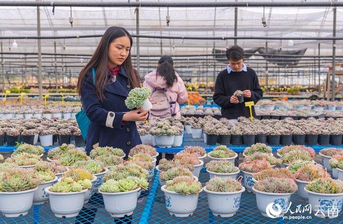 LOCAL202201280906000576881963097 LOCAL202201280906000576881963097