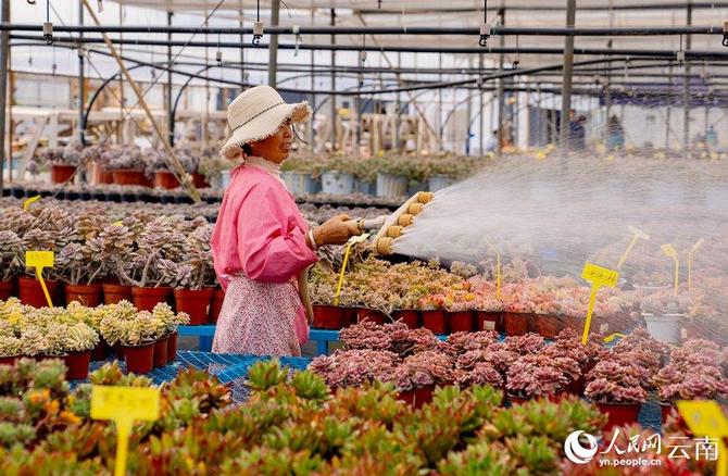 LOCAL202201280906000579812374862 LOCAL202201280906000579812374862