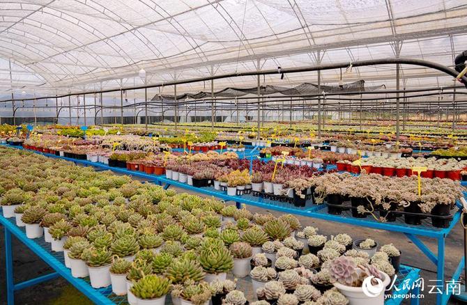 LOCAL202201280906000584089501914 LOCAL202201280906000584089501914