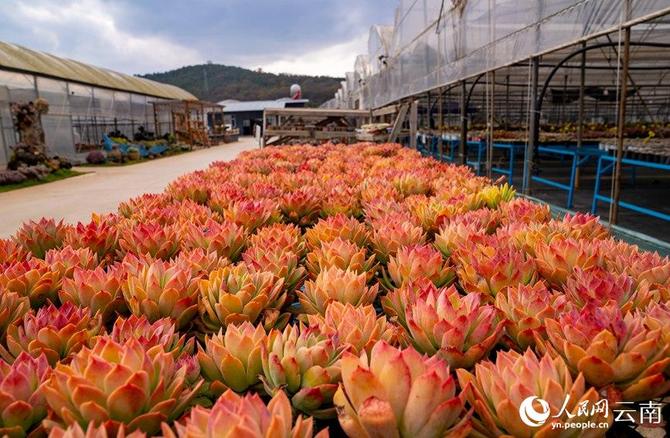 LOCAL202201280907000002406830994 LOCAL202201280907000002406830994