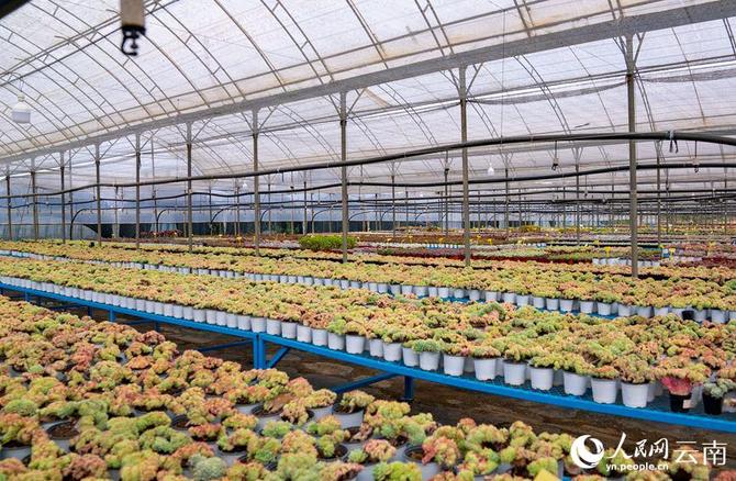 LOCAL202201280907000006220022812 LOCAL202201280907000006220022812