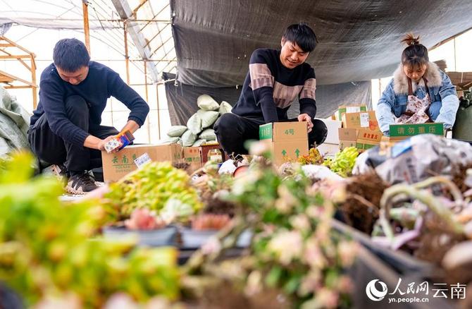 LOCAL202201280907000011468010075 LOCAL202201280907000011468010075