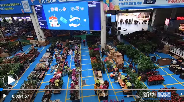 1643437179(1) 1643437179(1)