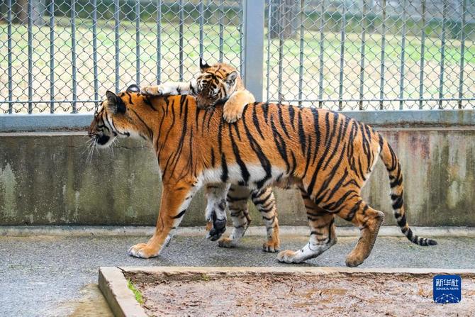 f44d30758ab0235da3d120