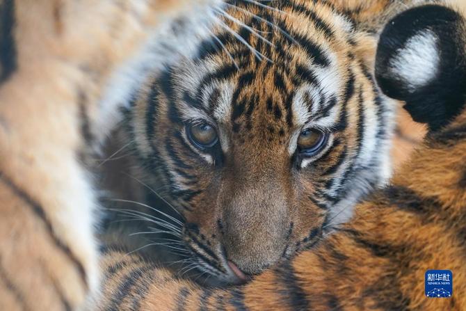 f44d30758ab0235da3d225