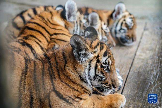 f44d30758ab0235da3d228