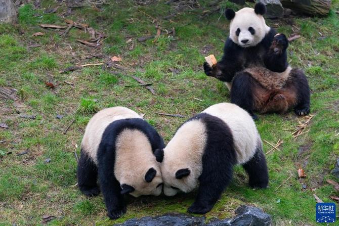 f44d30758ab0235da2774f