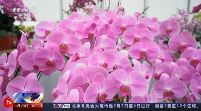 微信圖片_20220129181210