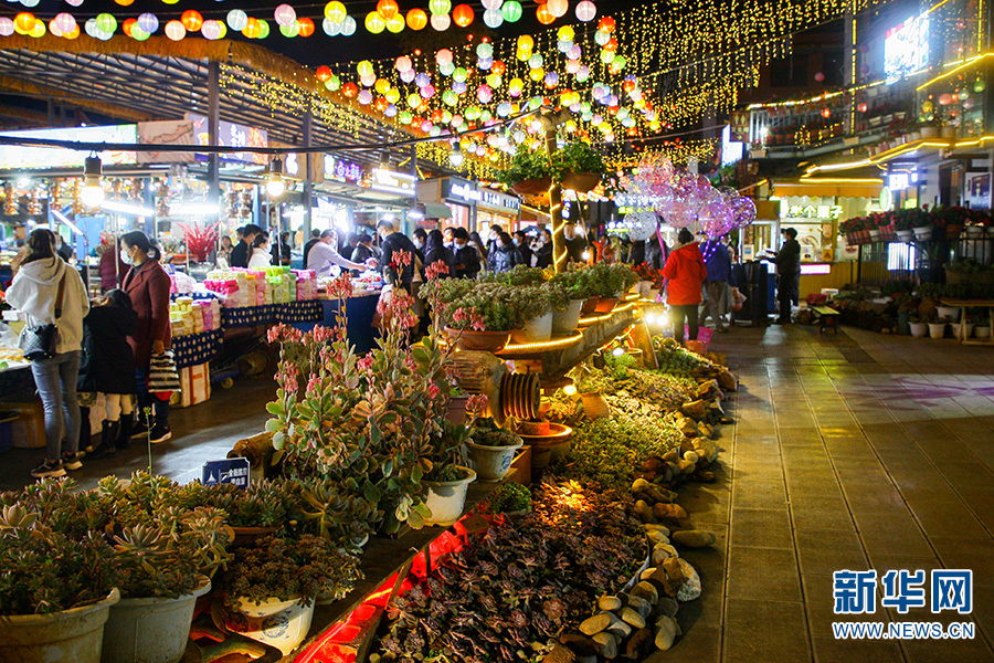 1310443544_16434180193581n 1310443544_16434180193581n