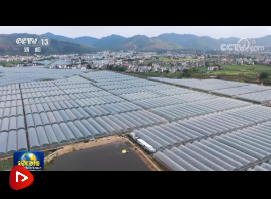 微信圖片_20220130220419 微信圖片_20220130220419