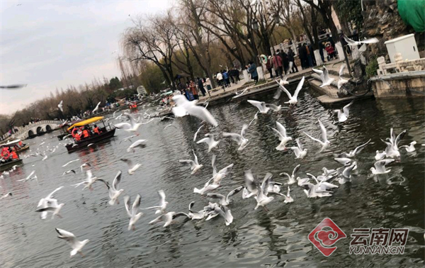 00304455965_3abf66ce 00304455965_3abf66ce