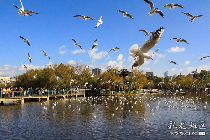 9y8yi77lqgu 9y8yi77lqgu