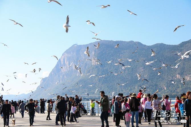 nyc2ifmgdbm nyc2ifmgdbm