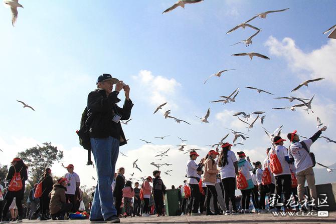 h8fxzqqjog4 h8fxzqqjog4