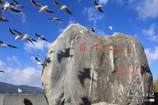 c3ogcbiw4ip c3ogcbiw4ip