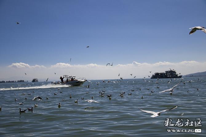 ygim5rlmjji ygim5rlmjji