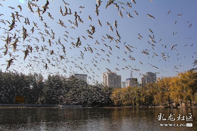 537veggh2f8 537veggh2f8