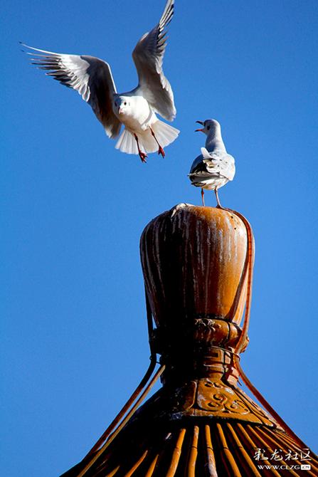 c8jtk4fhd4 c8jtk4fhd4