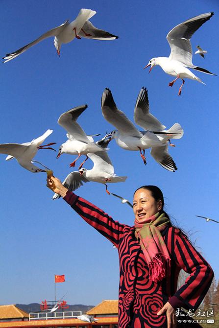 16akgxl436q 16akgxl436q