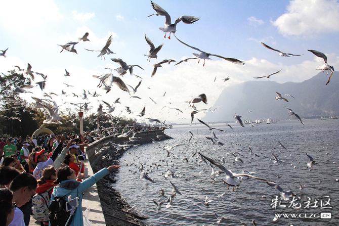 cmjl967ayw cmjl967ayw