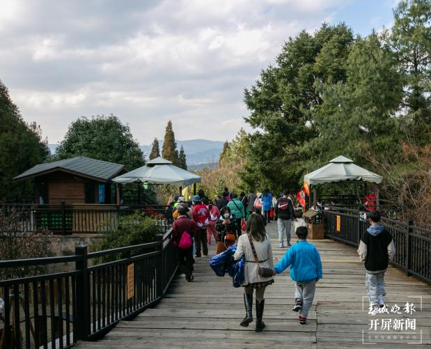春節(jié)期間云南野生動(dòng)物園獅虎山莊迎數(shù)萬游客 云南野生動(dòng)物園 供圖