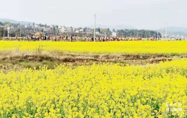 春節(jié)假期曲靖市接待游客數(shù)同比降8.2%！ (1).jpg