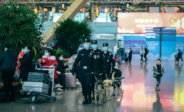 春節(jié)期間，云南省公安機(jī)關(guān)接報(bào)刑事警情同比去年春節(jié)下降27.46% （供圖）