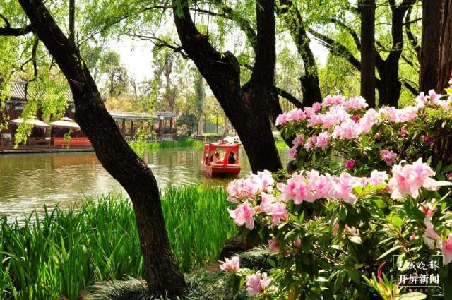 春節(jié)期間昆明西山區(qū)景區(qū)、公園接待游客47.37萬人次 張勇 通訊員 王麗娟 李建翔 康鳳瓊 周姝 攝