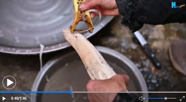 點(diǎn)擊查看視頻 點(diǎn)擊查看視頻