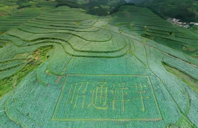 640DOMQNH043 640DOMQNH043