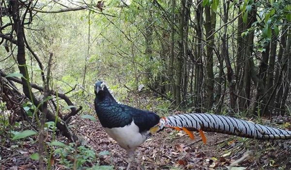 微信圖片_20220211162335