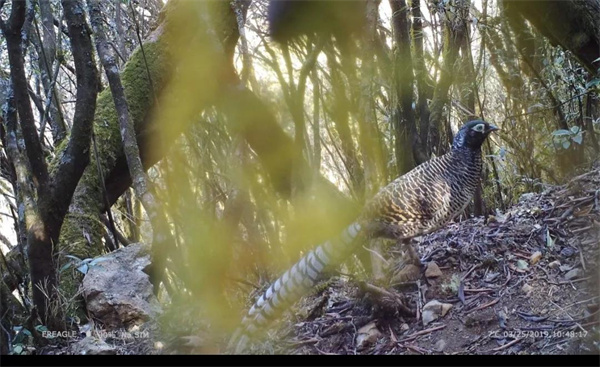 微信圖片_20220211162325