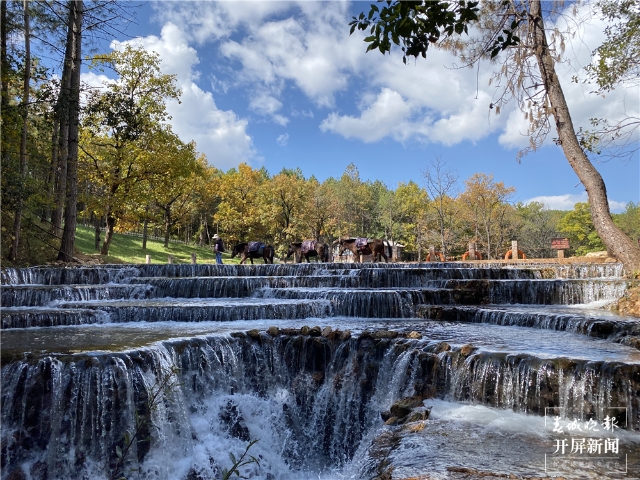 微信圖片_20220211170657 微信圖片_20220211170657