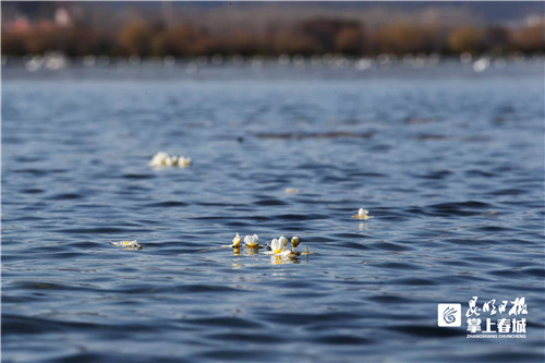 WBf8Eyncxp WBf8Eyncxp