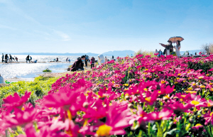 55991644773982847 55991644773982847