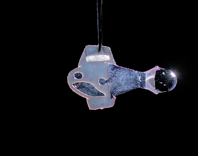 504986c82cf6484bb917a1881ebb5812 504986c82cf6484bb917a1881ebb5812