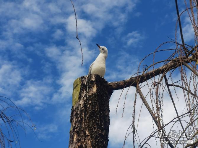 8dyv4z4gw8j 8dyv4z4gw8j