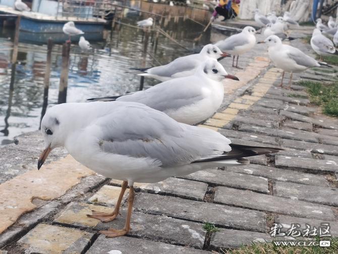 o3lrm5w88rk o3lrm5w88rk