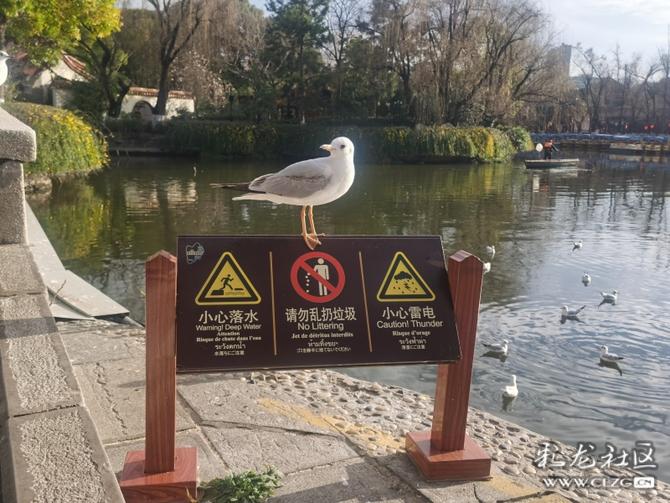 z2bekfcun1l z2bekfcun1l