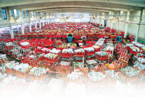 73751644860758837 73751644860758837