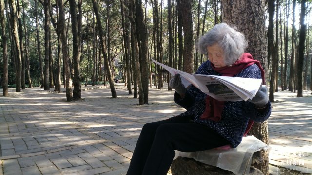94歲老人公園讀《春城晚報》打動攝影愛好者 (3).jpg