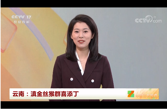 微信截圖_20220215084109