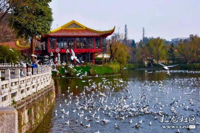 微信圖片_20220215152627 微信圖片_20220215152627