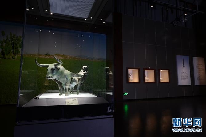 1310462932_16444134941571n