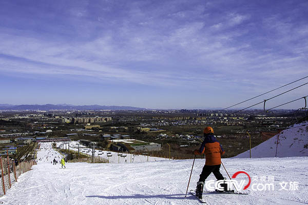 2022021609132783781 2022021609132783781