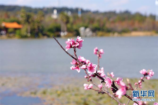 1310472239_16448931354361n