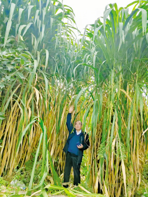 25081645033191693 25081645033191693