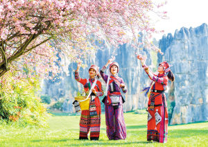 8621645033192692 8621645033192692