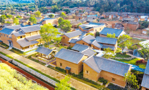 80731645033194316 80731645033194316