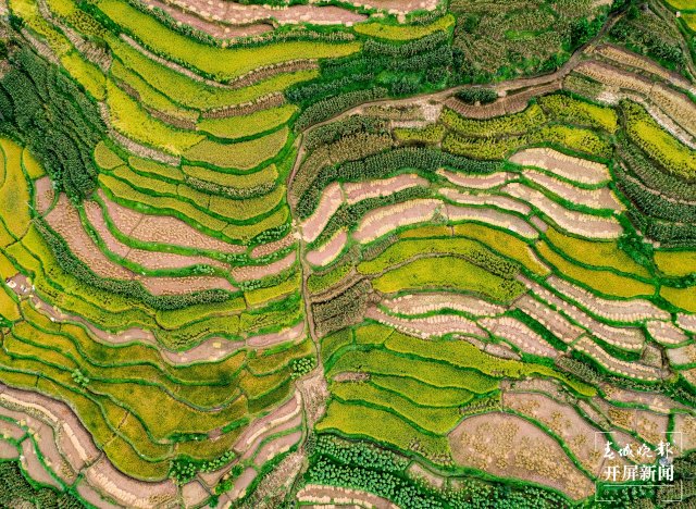 昆明晉寧：五年嬗變新畫卷